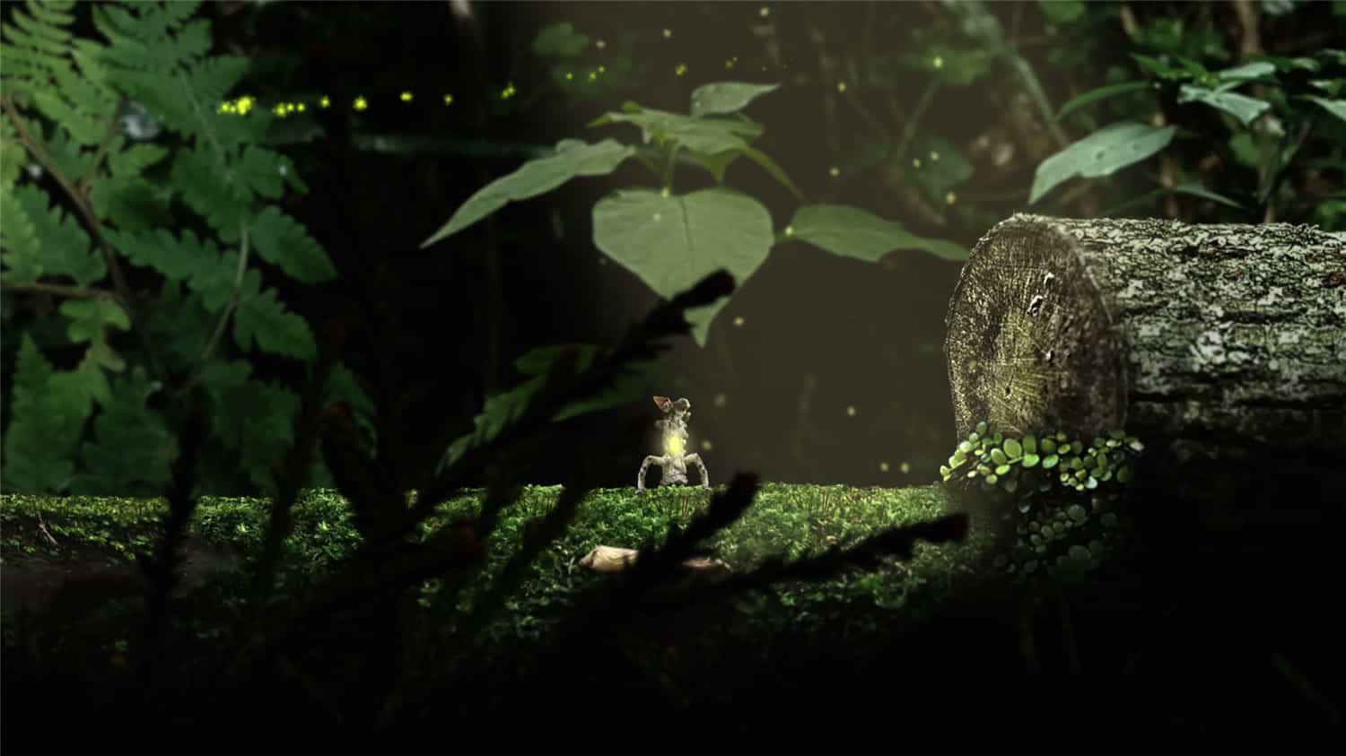 《幼苗/Seedlings》v1.0.0中文版插图-拾艺肆