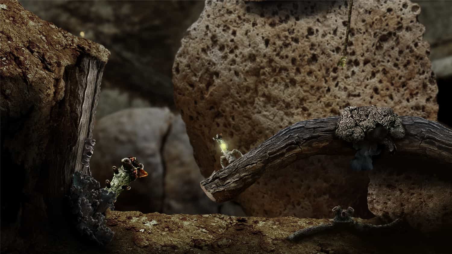 《幼苗/Seedlings》v1.0.0中文版插图1-拾艺肆