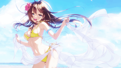 樱花落舞 动态壁纸-拾艺肆