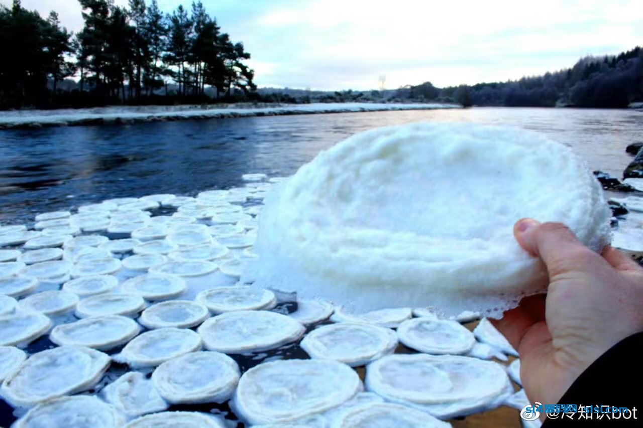 ice pancake（冰饼）-拾艺肆